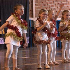 Fête de l'école maternelle Camphin - 28