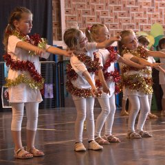 Fête de l'école maternelle Camphin - 30