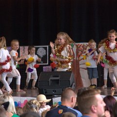 Fête de l'école maternelle Camphin - 33