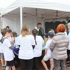 Fête de la nature - 00128