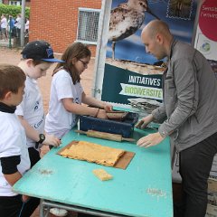 Fête de la nature - 00202