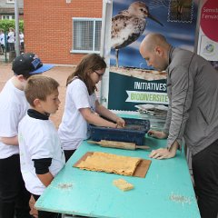 Fête de la nature - 00203