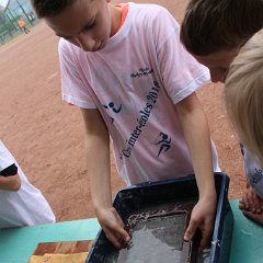 Fête de la nature - 00205
