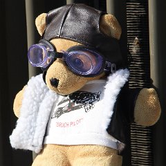 IMG_3896