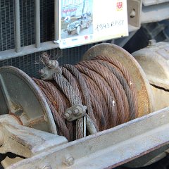 IMG_3959