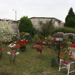 IMG_7433