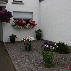IMG_7447