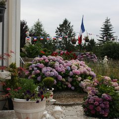 IMG_7472