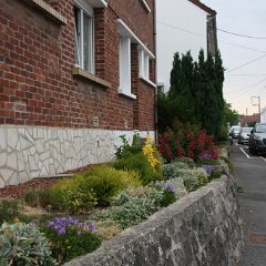 IMG_7476
