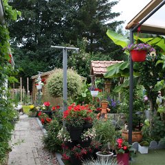 IMG_7484