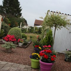 IMG_7496