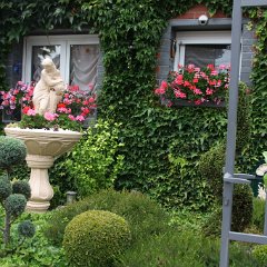 IMG_7508
