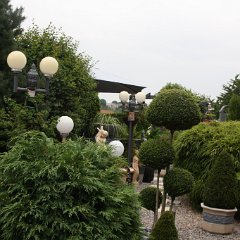 IMG_7509