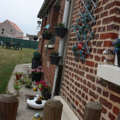 IMG_7516