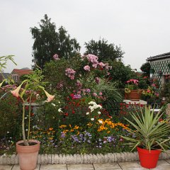 IMG_7547