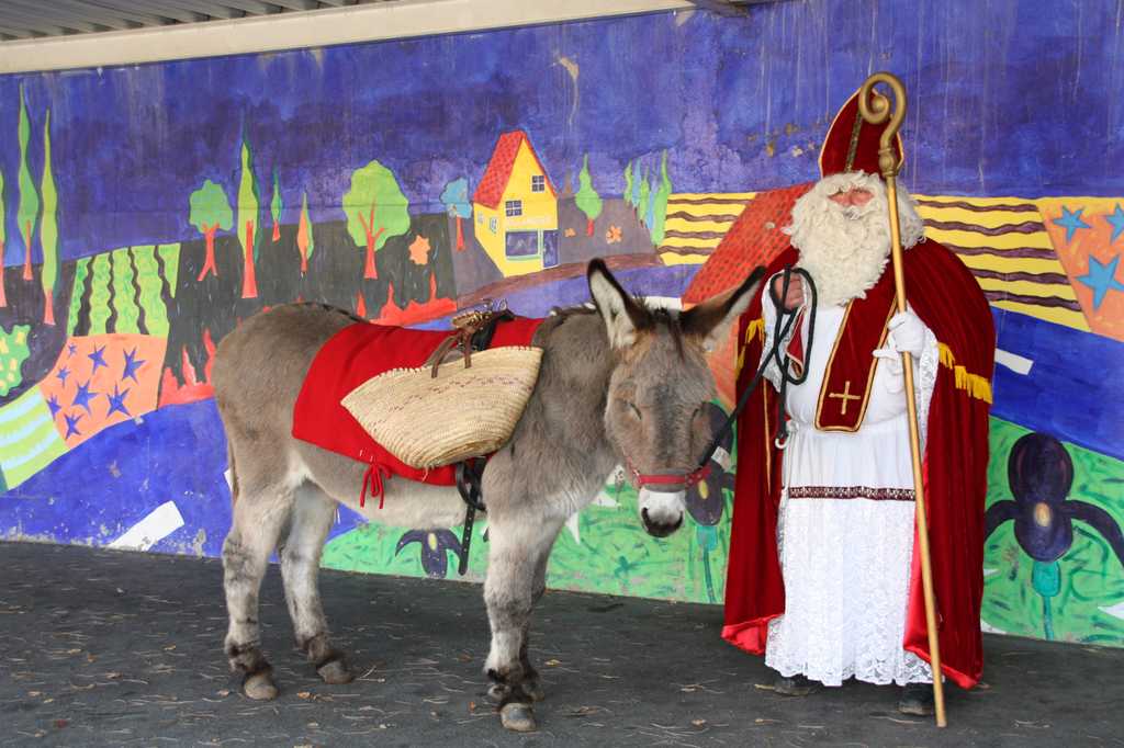 2016 saint nicolas 43